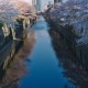 Alternative Tokyo: Nakameguro Neighborhood Guide